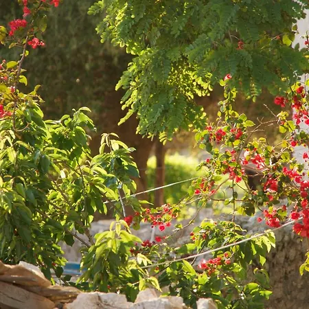 Villa Euphoria Retreat *